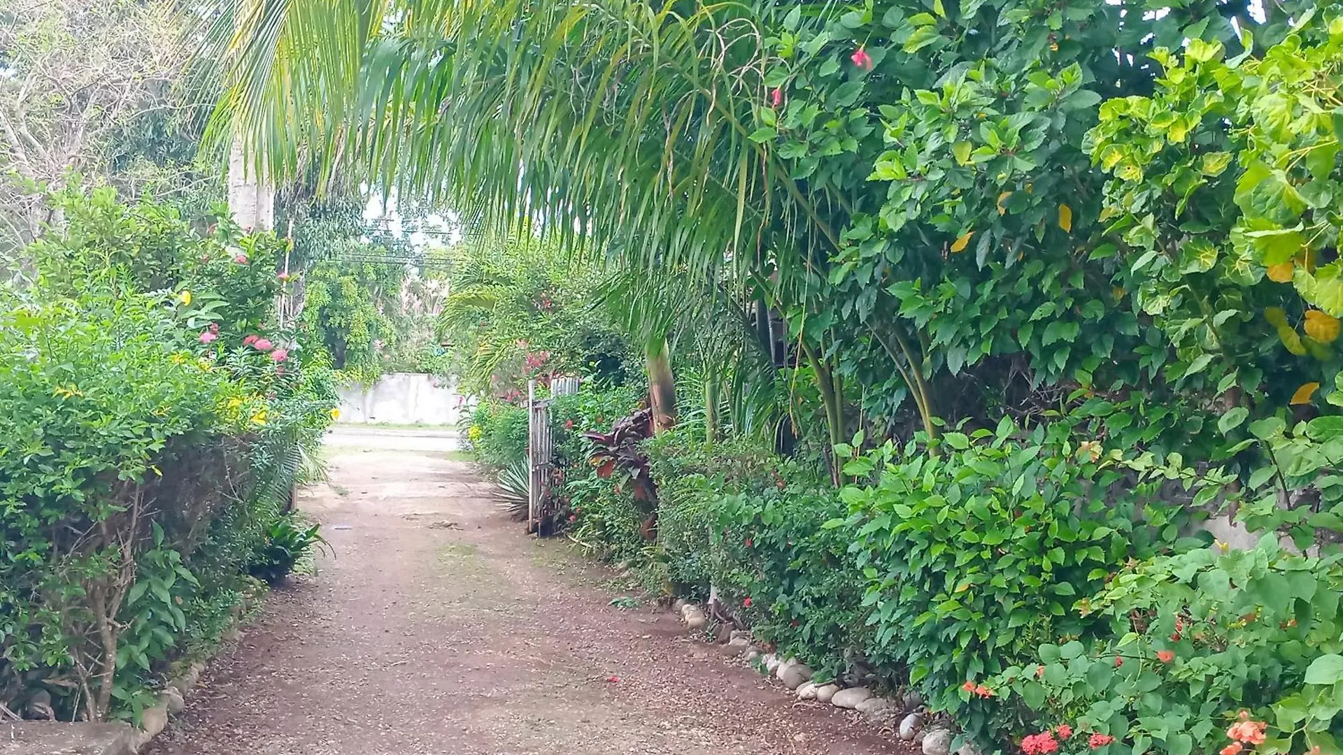 The Gibson'S Palace Saint Maryʼs 0*,  Jamaïque